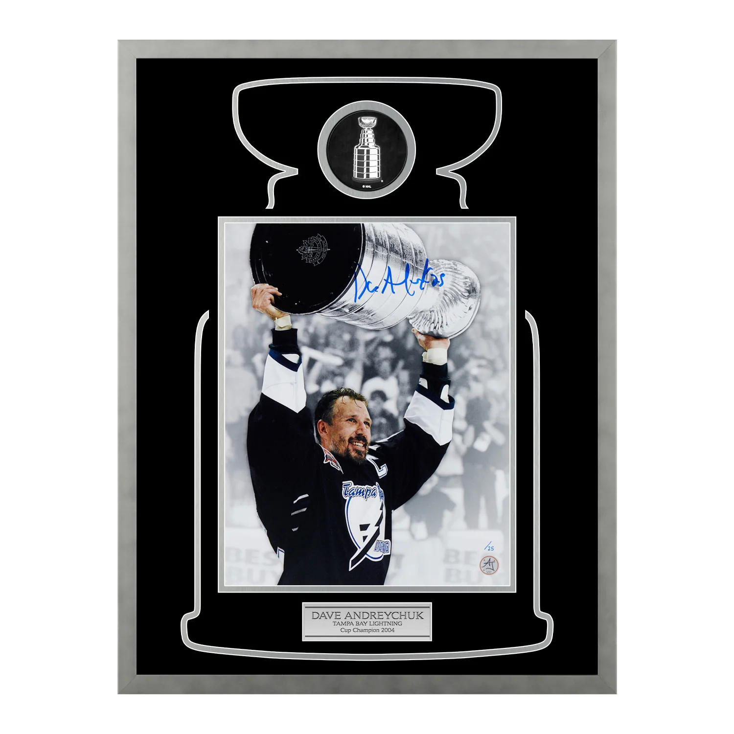 Dave Andreychuk Signed Tampa Bay Lightning Cup Champion 20x26 Frame