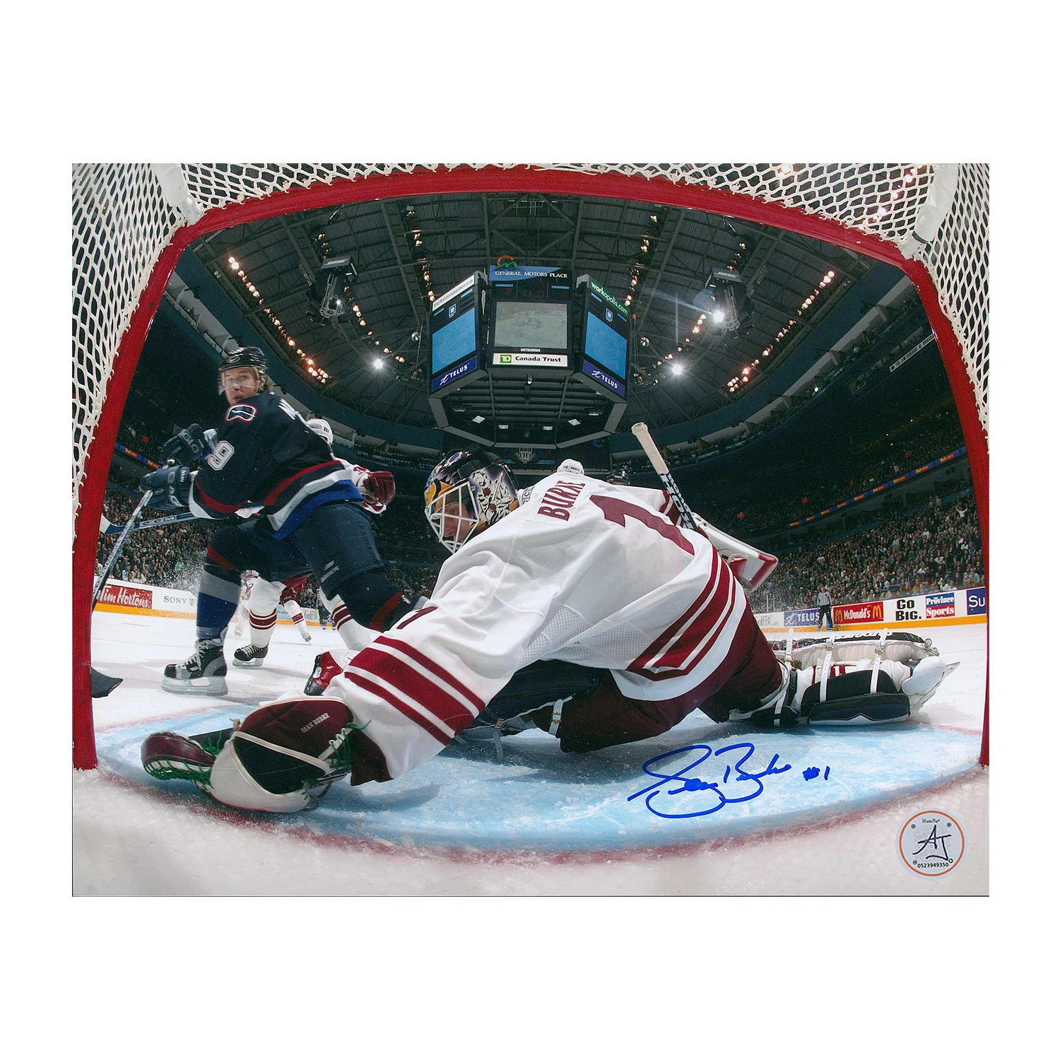 Sean Burke Phoenix Coyotes Autographed Goalie Netcam 8x10 Photo