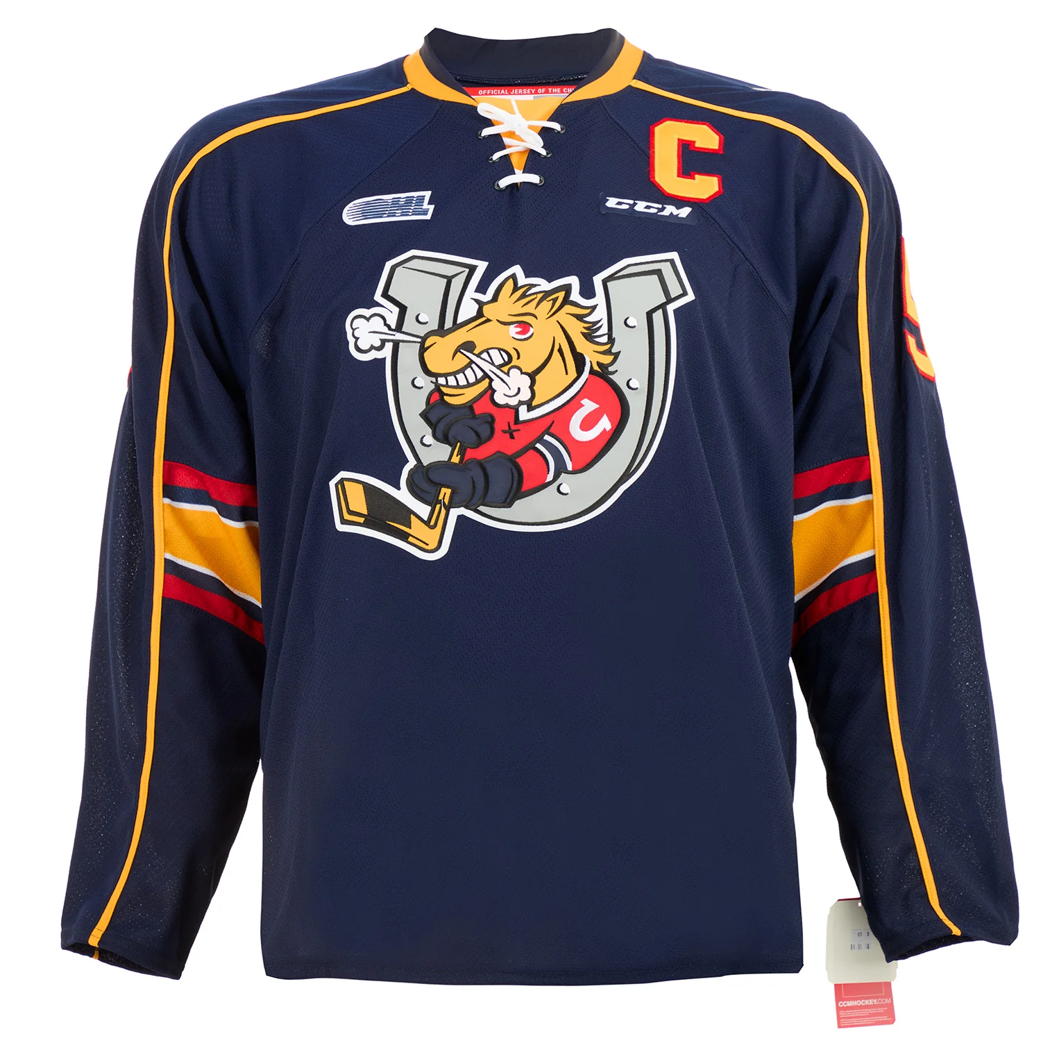 Aaron Ekblad Barrie Colts Autographed CHL Hockey Jersey - Image 2