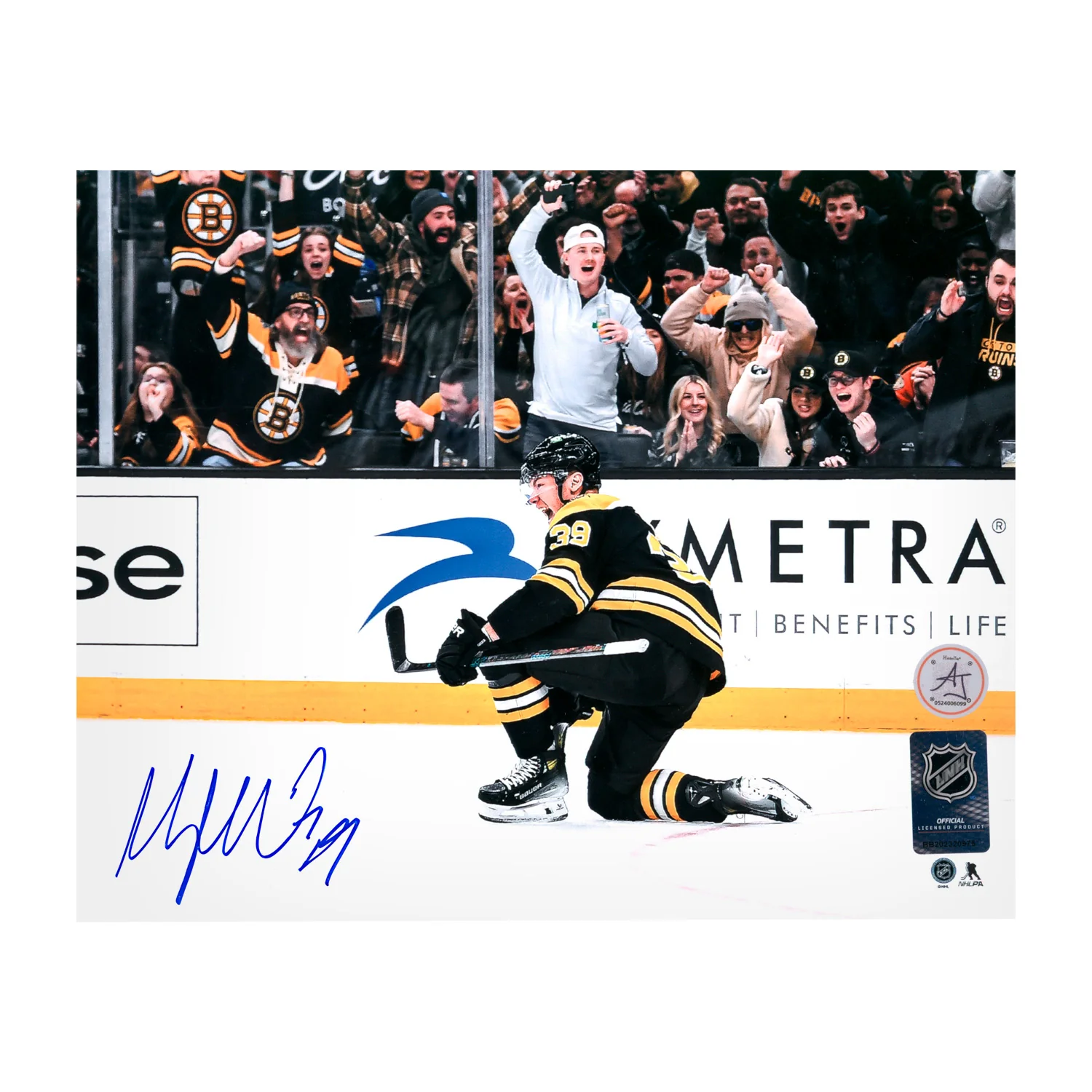 Morgan Geekie Autographed Boston Bruins Goal Celebration 8x10 Photo