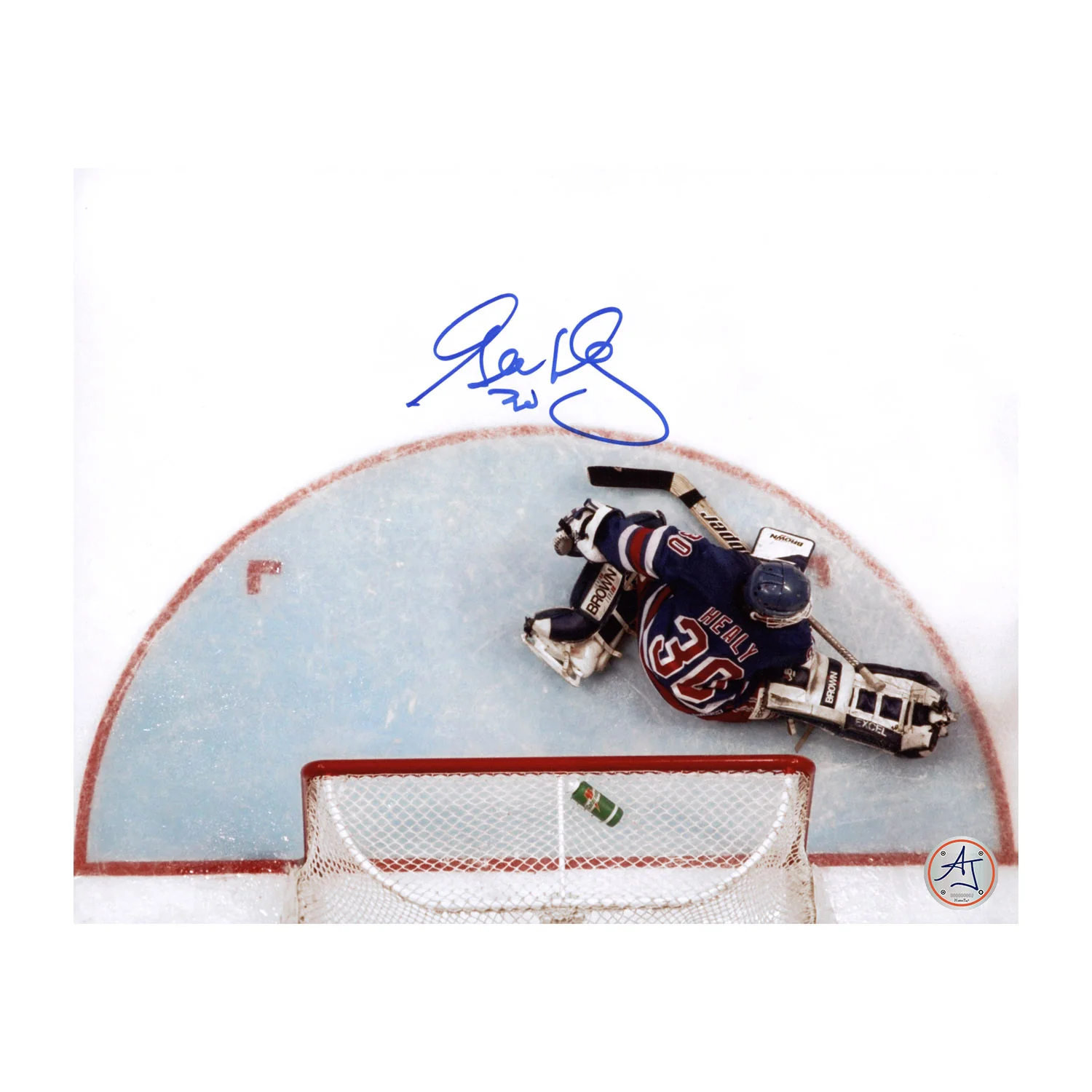Glenn Healy Autographed New York Rangers Aerial View 8x10 Photo
