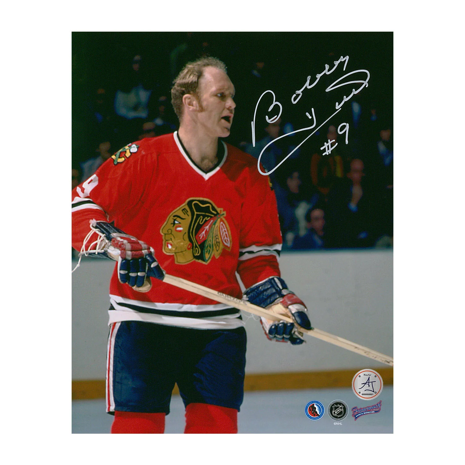 Bobby Hull Autographed Chicago Blackhawks Half Body Portrait 8x10 Photo