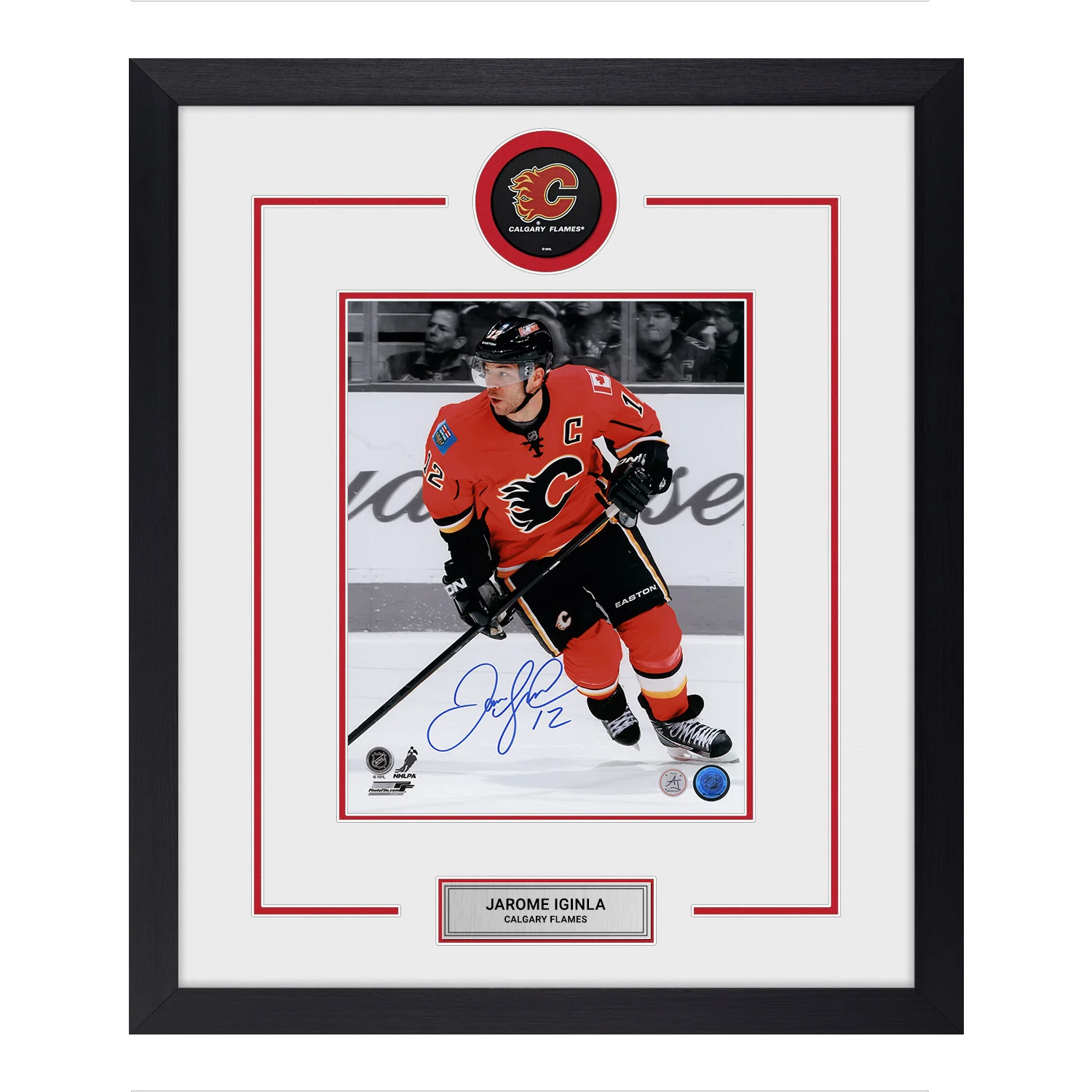 Jarome Iginla Autographed Calgary Flames Puck Logo 23x27 Frame