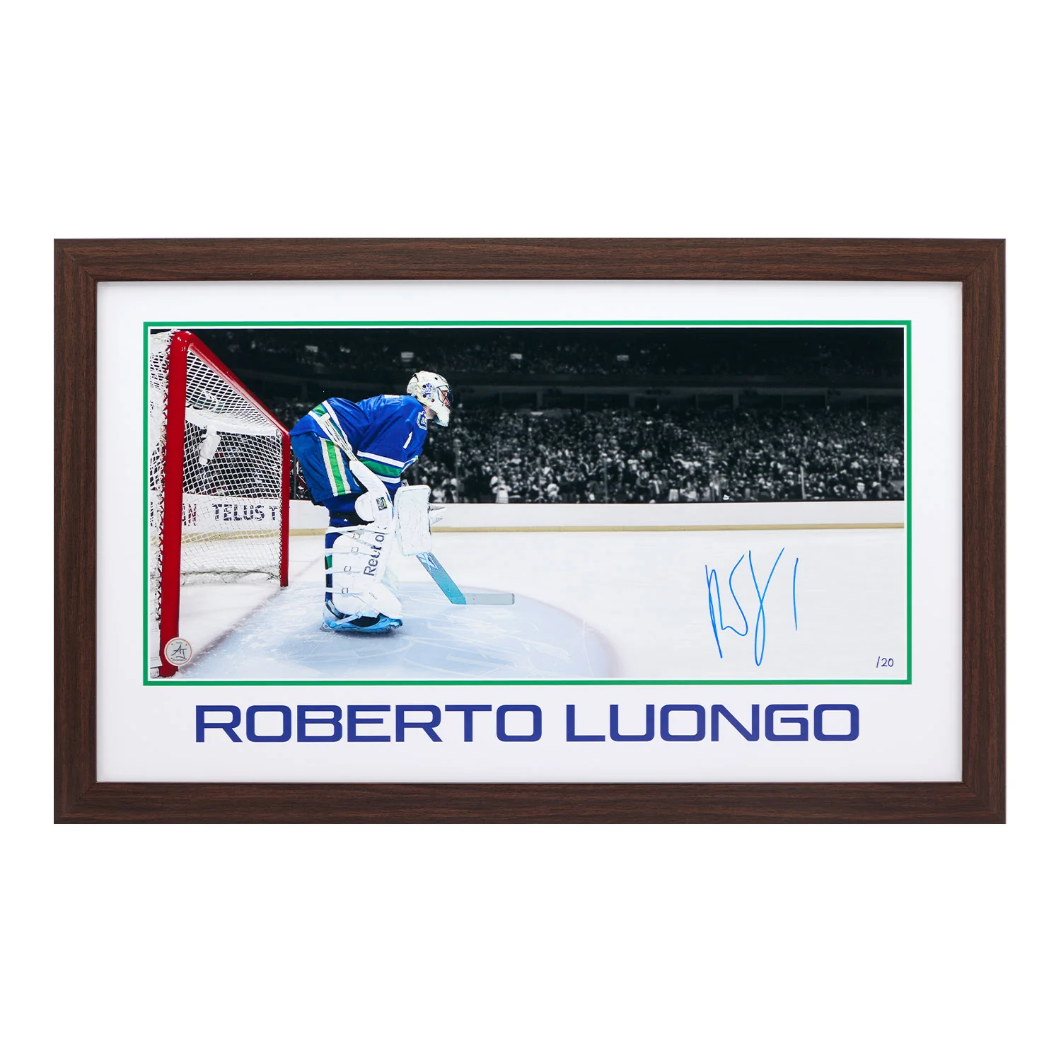 Roberto Luongo Vancouver Canucks Prominent Signature 16x26 Frame #/20