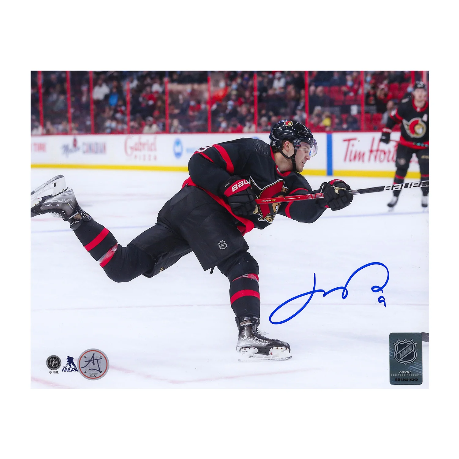 Josh Norris Autographed Ottawa Senators Slapshot 8x10 Photo