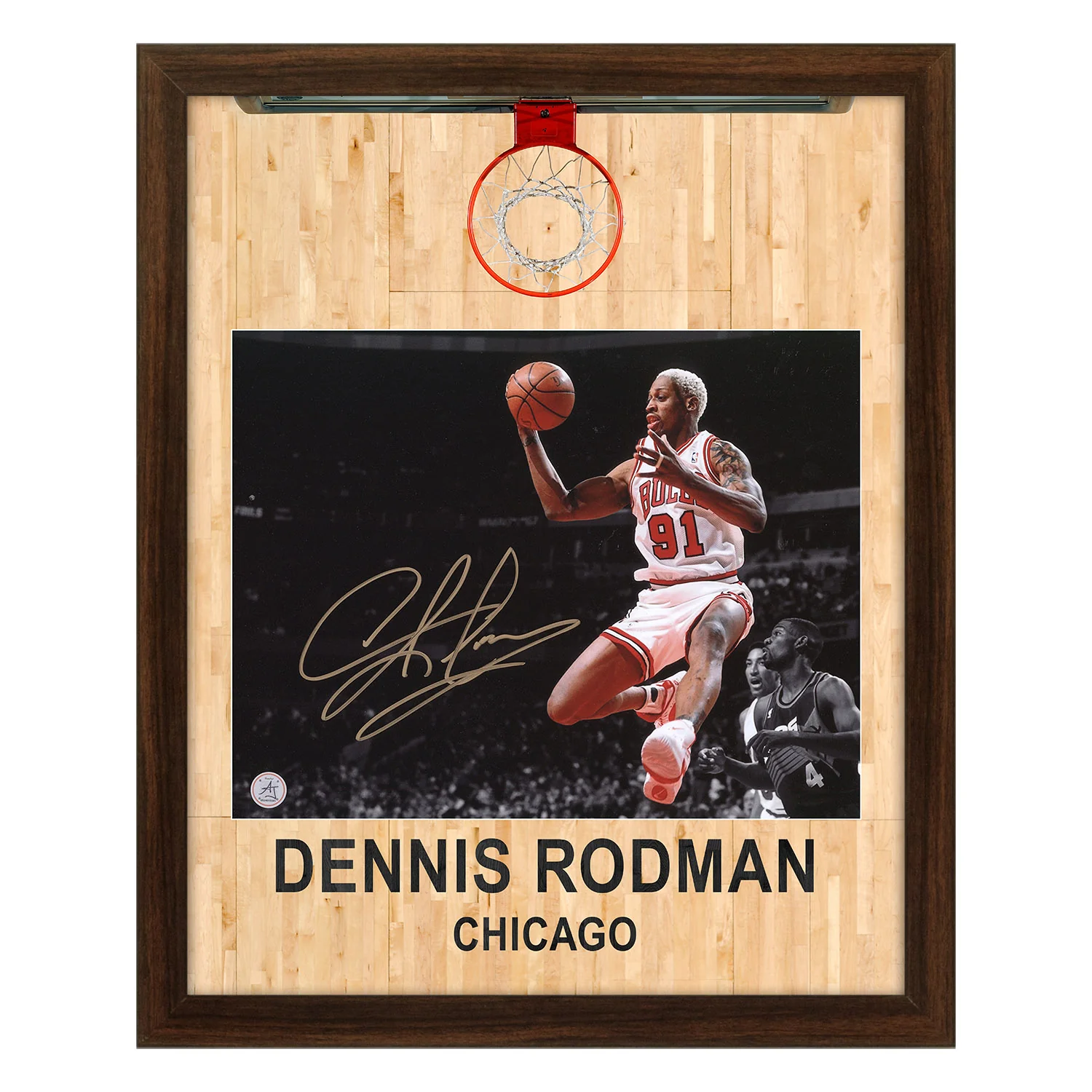 Dennis Rodman Signed Chicago Bulls Aerial Hoop Graphic 19x23 Frame
